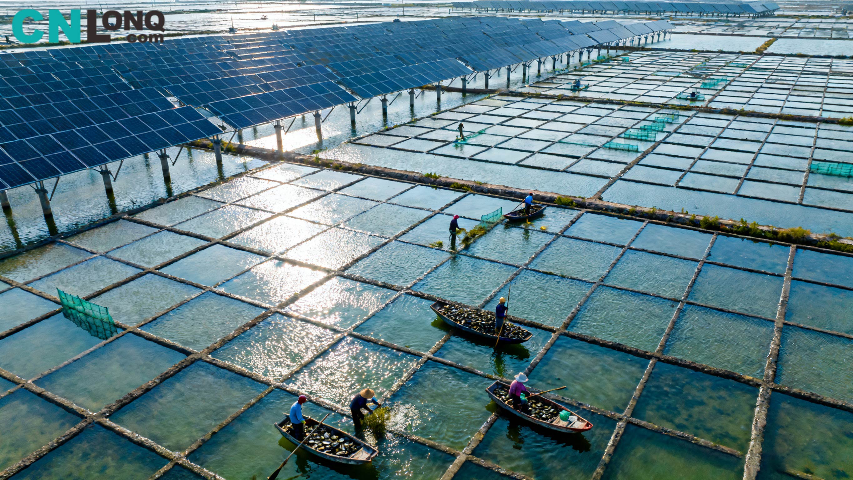 Toplam Yatırım 1,2 Milyar RMB! Xindao Qingkou Tuz Sahası 250MW 